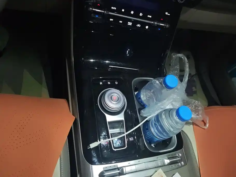 Kia Carnival 2024 2021 2.0T Flagship Edition