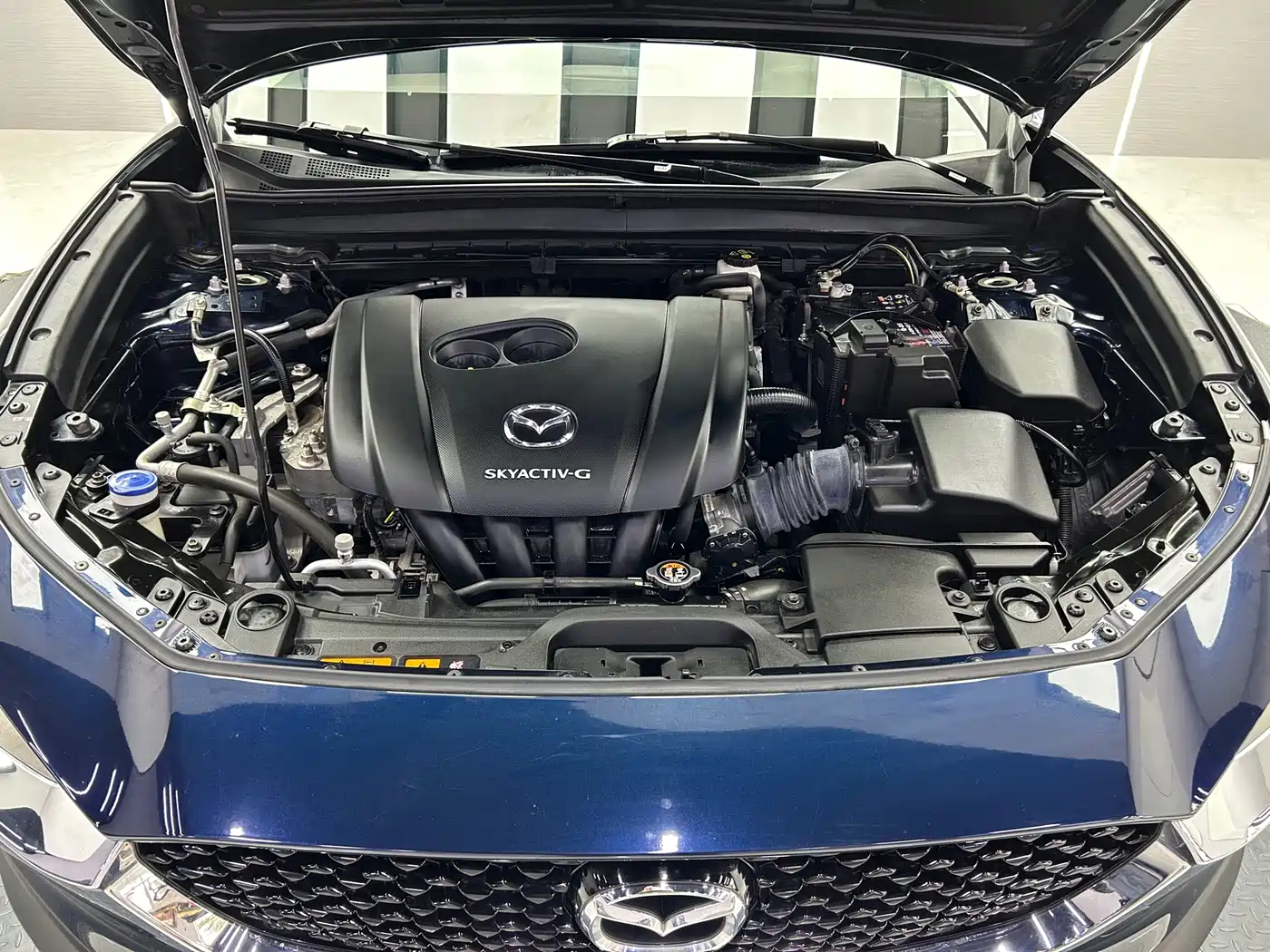 Mazda CX-30 2021 2021 2.0L Auto Premium Joy Type