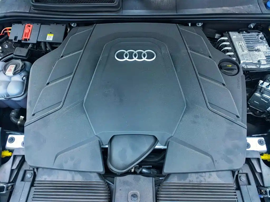 Audi Q8 2024 55 TFSI Luxury Sport фото 17