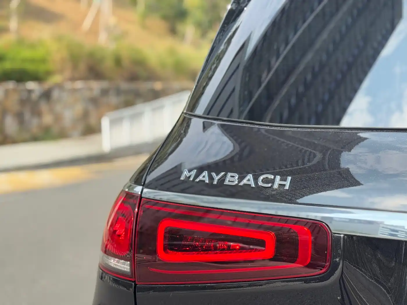 Mercedes-Benz Maybach GLS 2021 GLS 600 4MATIC Ritual Edition фото 21