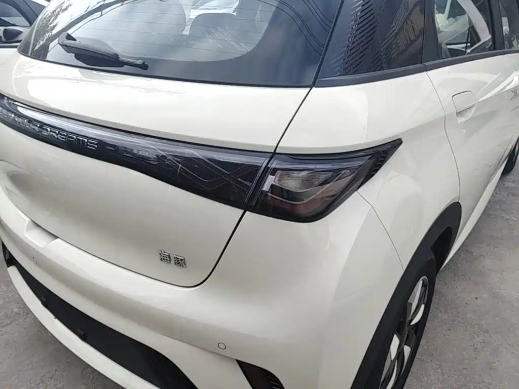 Photo 8 - BYD Dolphin