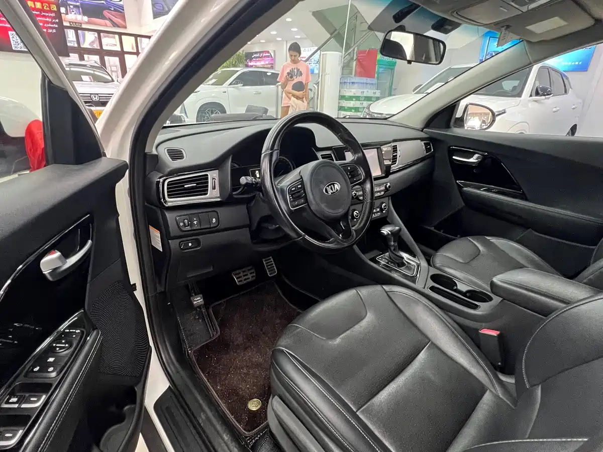 Kia Niro 2017 1.6L Luxury Edition фото 8
