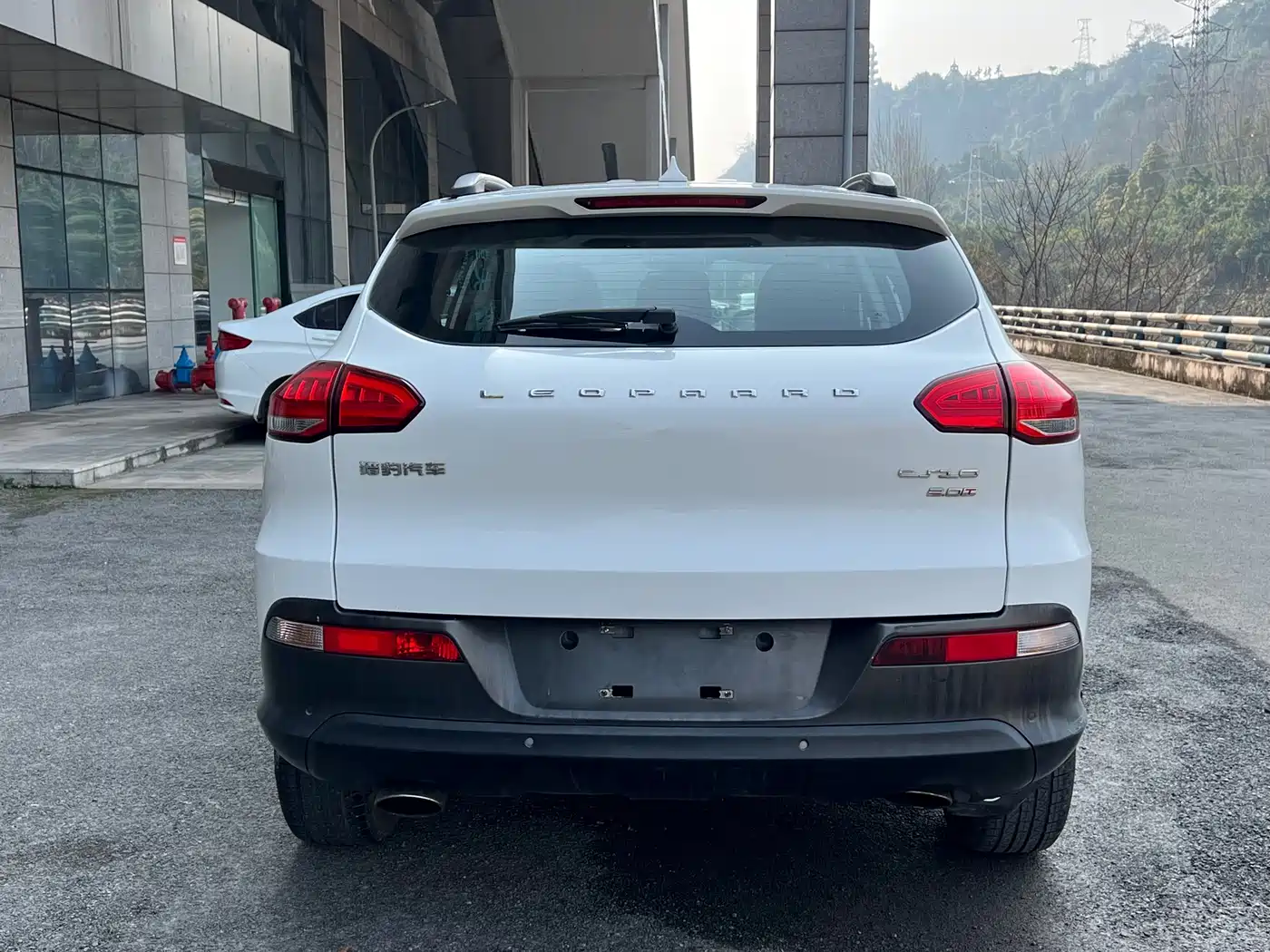 CHEETAH CARS CHEETAH CS10