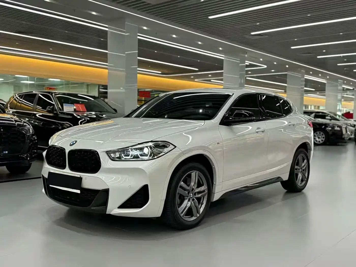 BMW X2 2024 2023 sDrive25i M Sport Shadow Edition