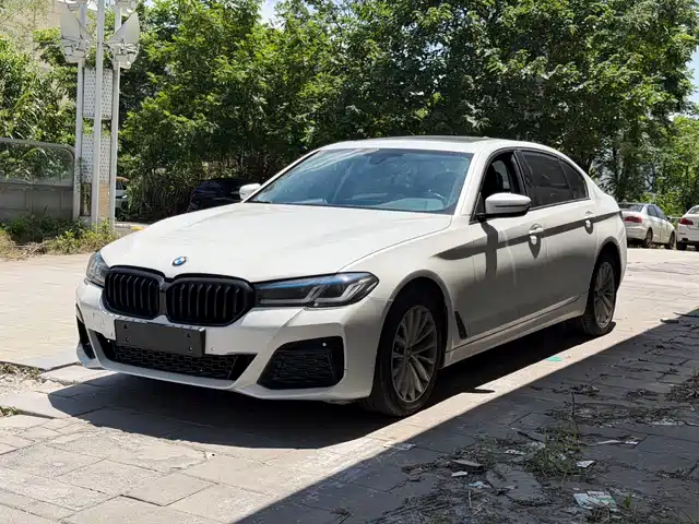 BMW BMW 5 Series 2019 530Li Leading Luxury Package