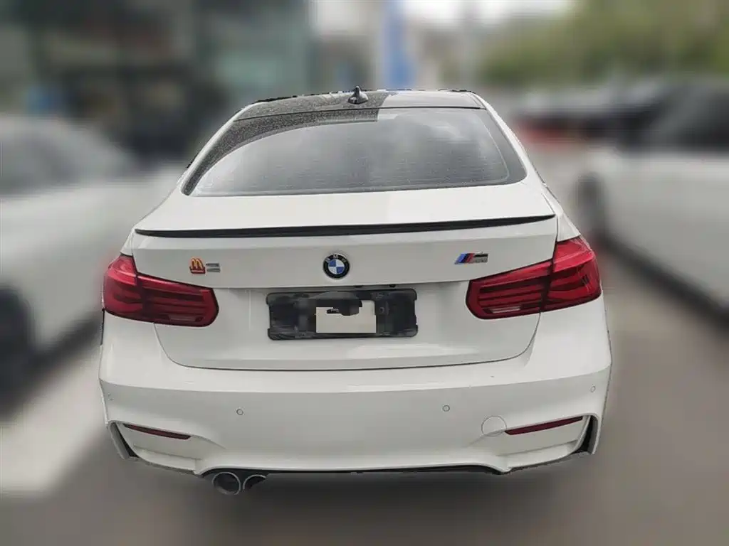 BMW 3 Series 2019 320Li M Sport Package фото 10