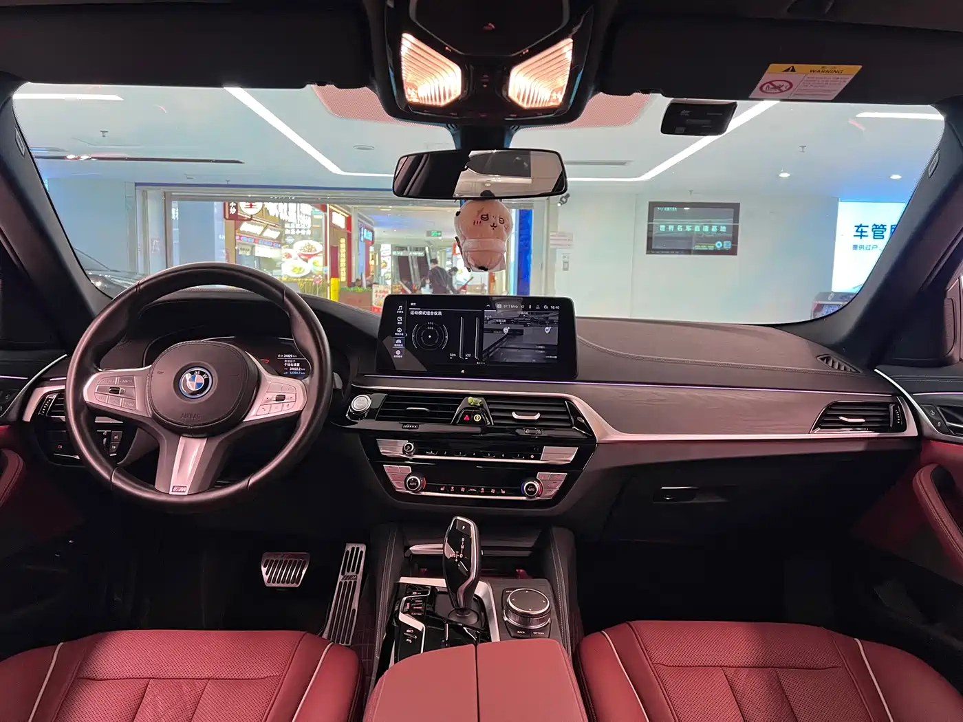 BMW 5 SERIES NEW ENERGY