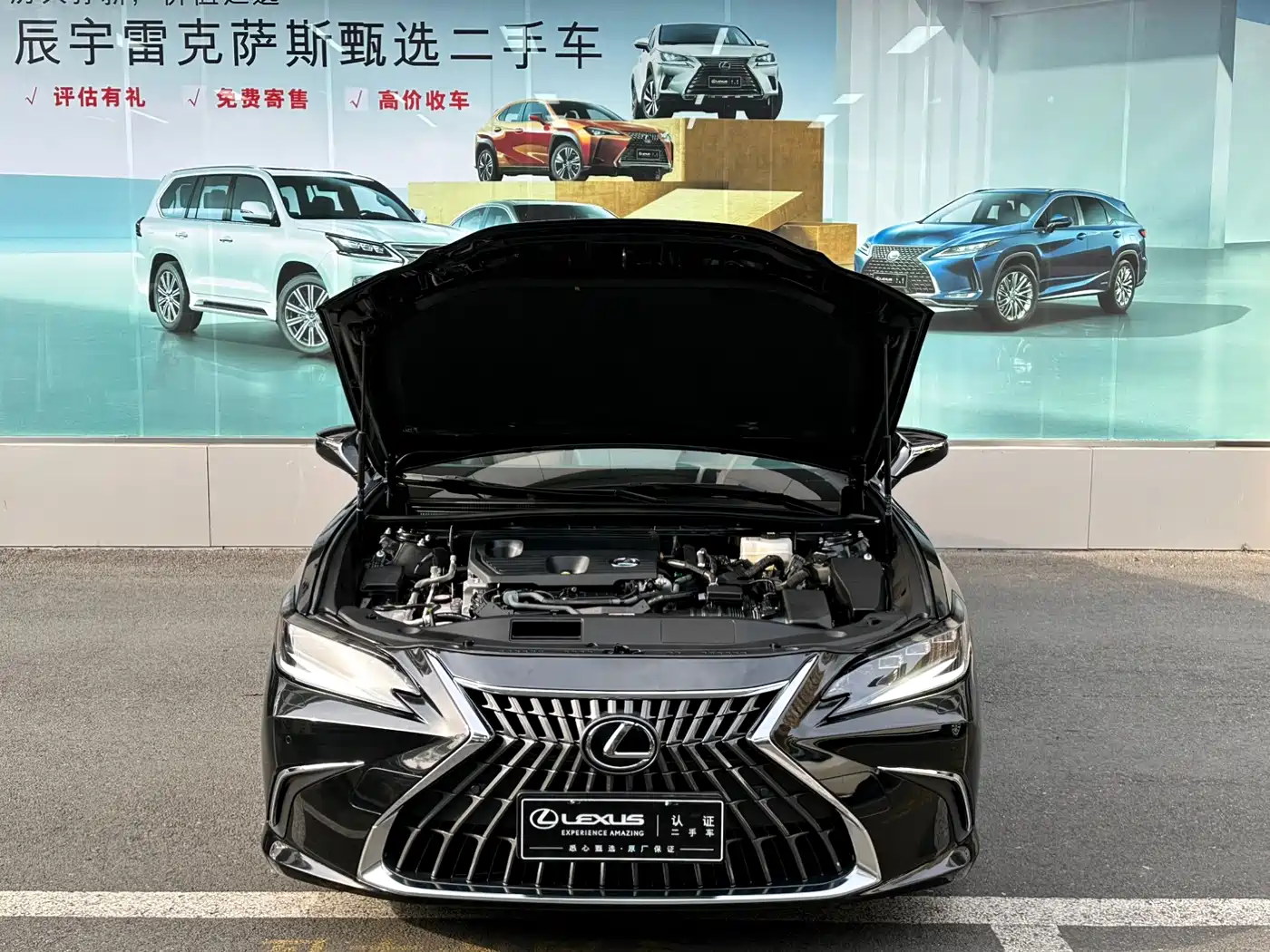 Lexus ES 2022 300h Ultimate Edition фото 4