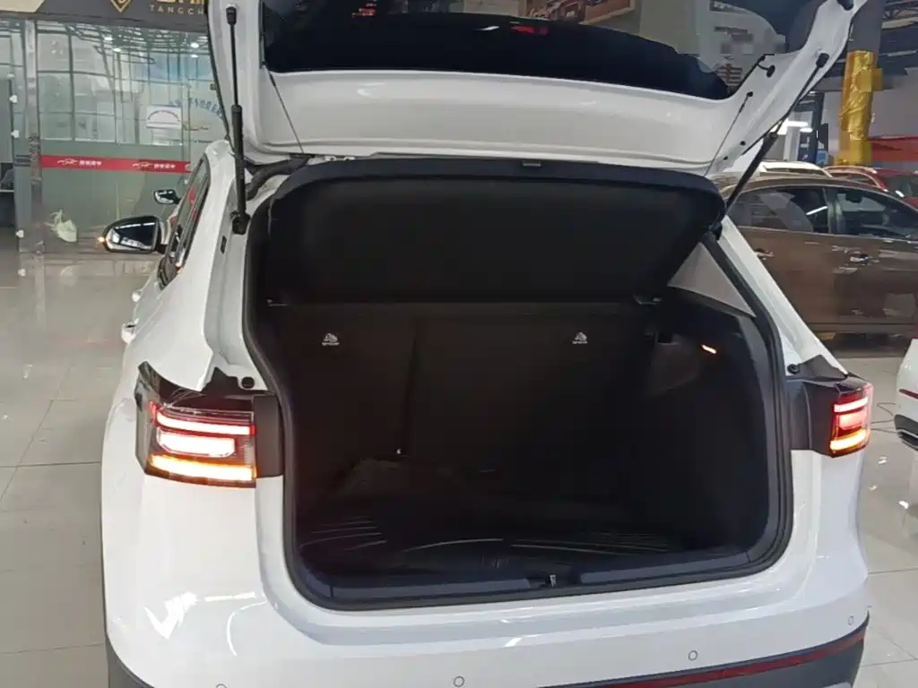 صورة 19 - Volkswagen Tharu