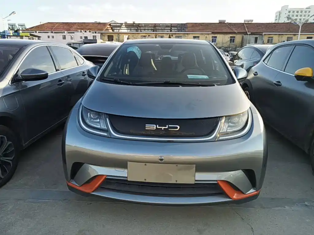 Фото 3 - BYD Dolphin
