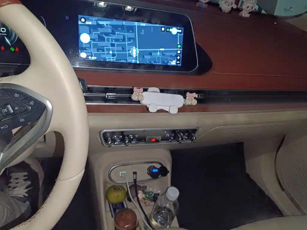 Ora Good Cat 2023 2023 401km Standard Range Luxury LFP