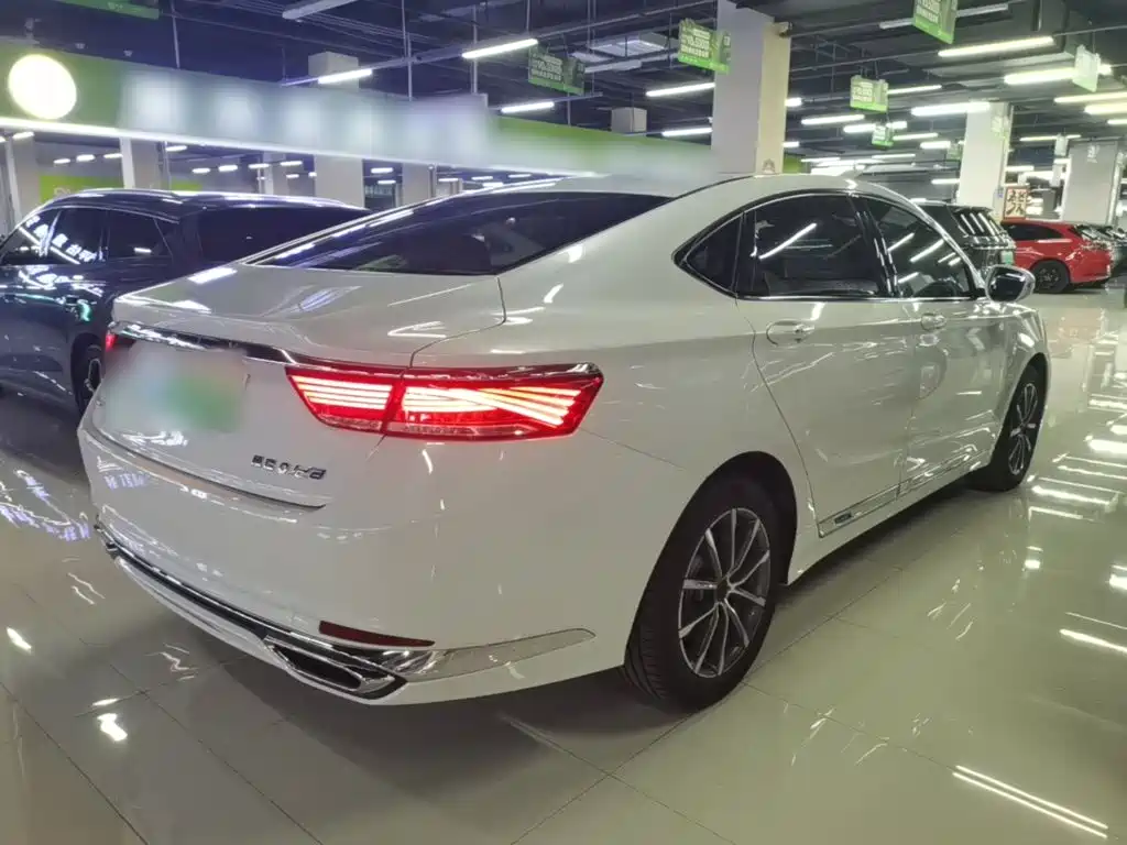Geely Borui PHEV 2020 2021 1.5T ePro Leading Glory Edition