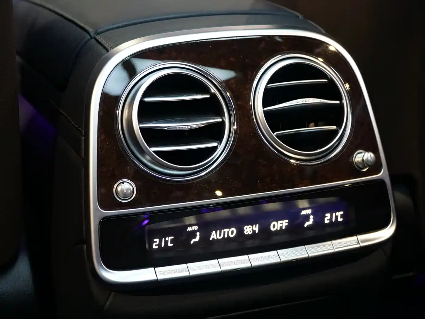 Mercedes-Benz S-Class 2020 S 350 L Premium Edition Collector's Version фото 8