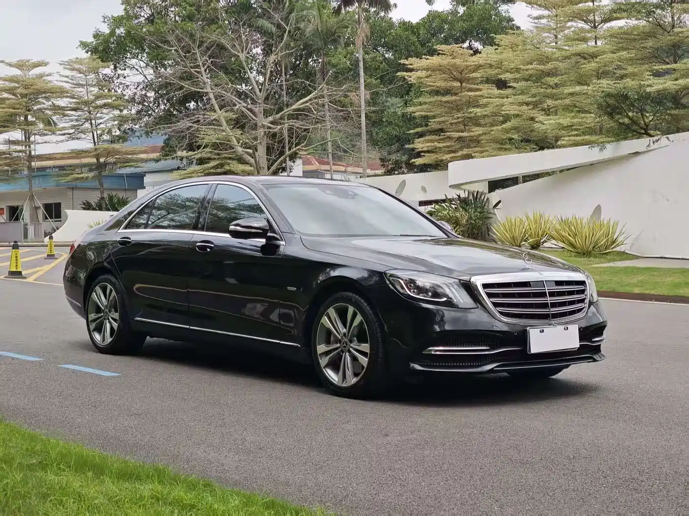 Mercedes-Benz S-Class 2020 S 350 L Premium Edition Collector's Version фото 3