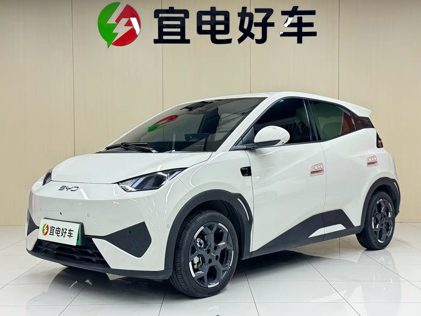 BYD Seagull 2025