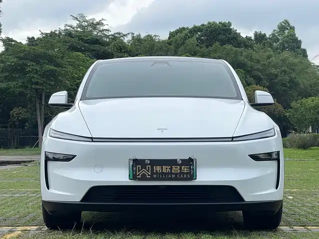 Tesla Model Y 2025 Rear-Wheel Drive — фото 2