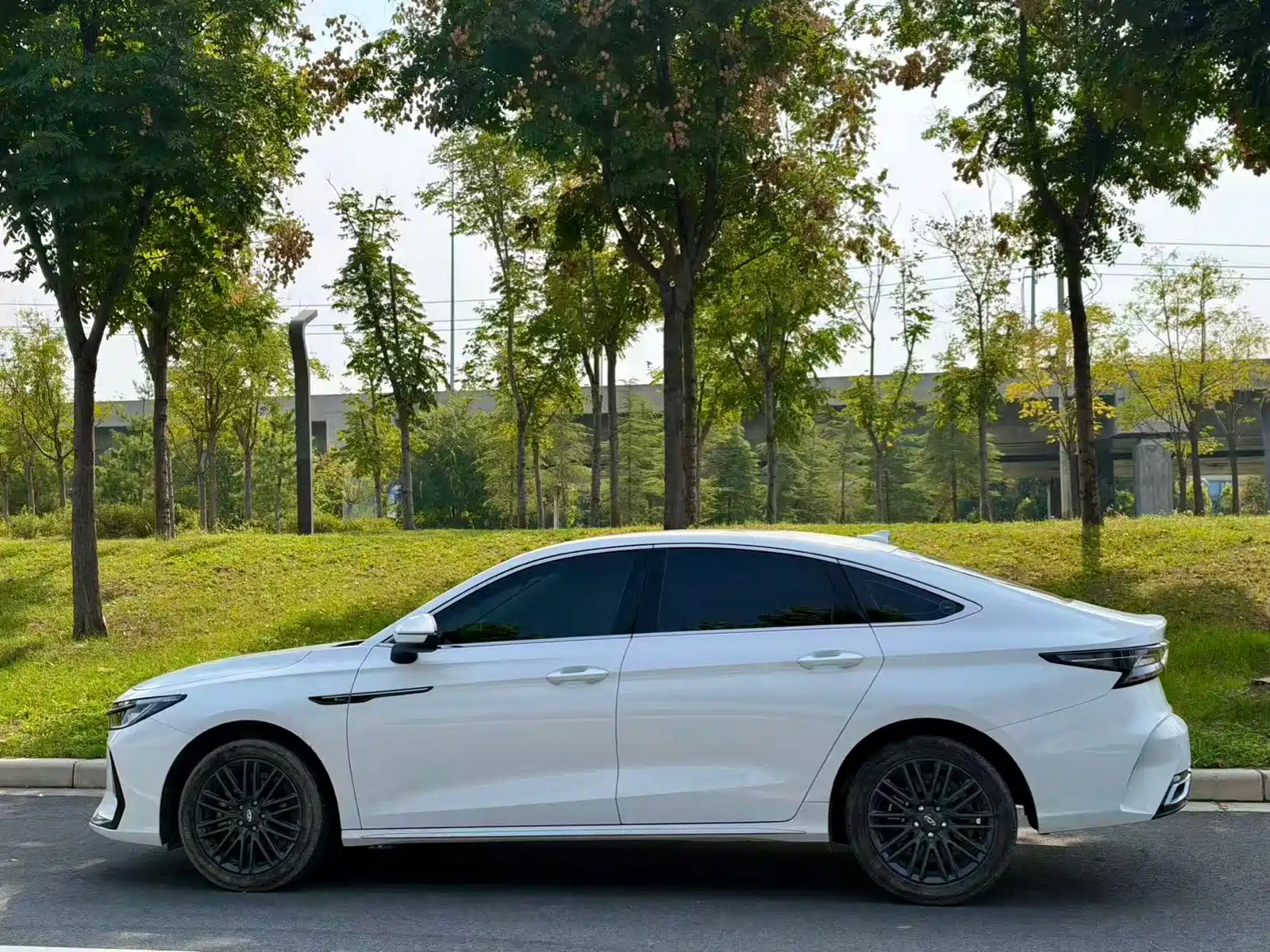 Фото 3 - Chery Arrizo 8