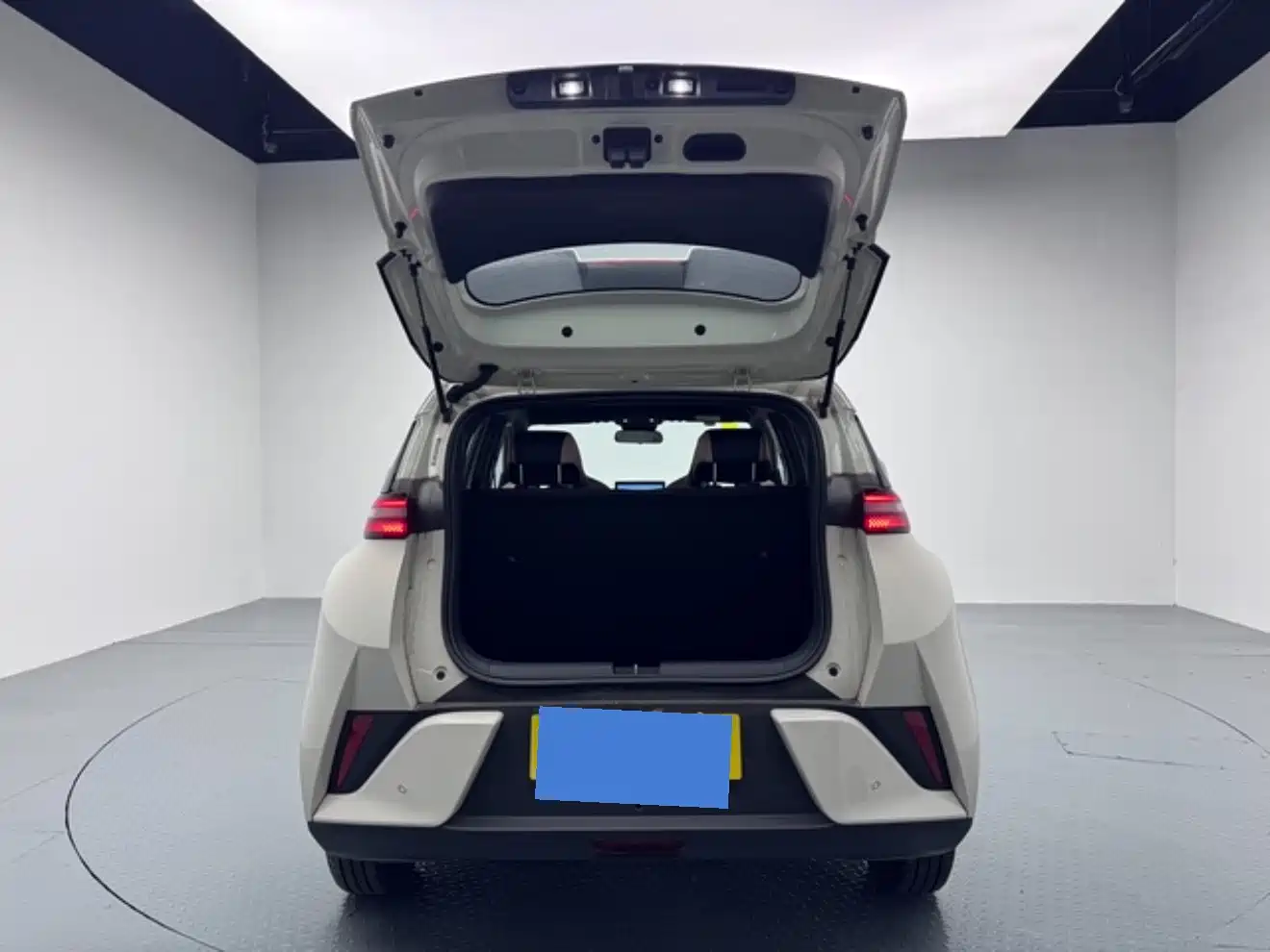 BYD Seagull 2026 2025 305km Vitality
