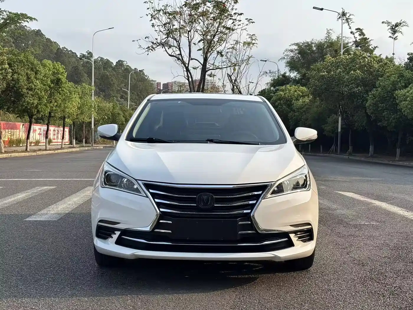 CHANGAN YIDONG DT