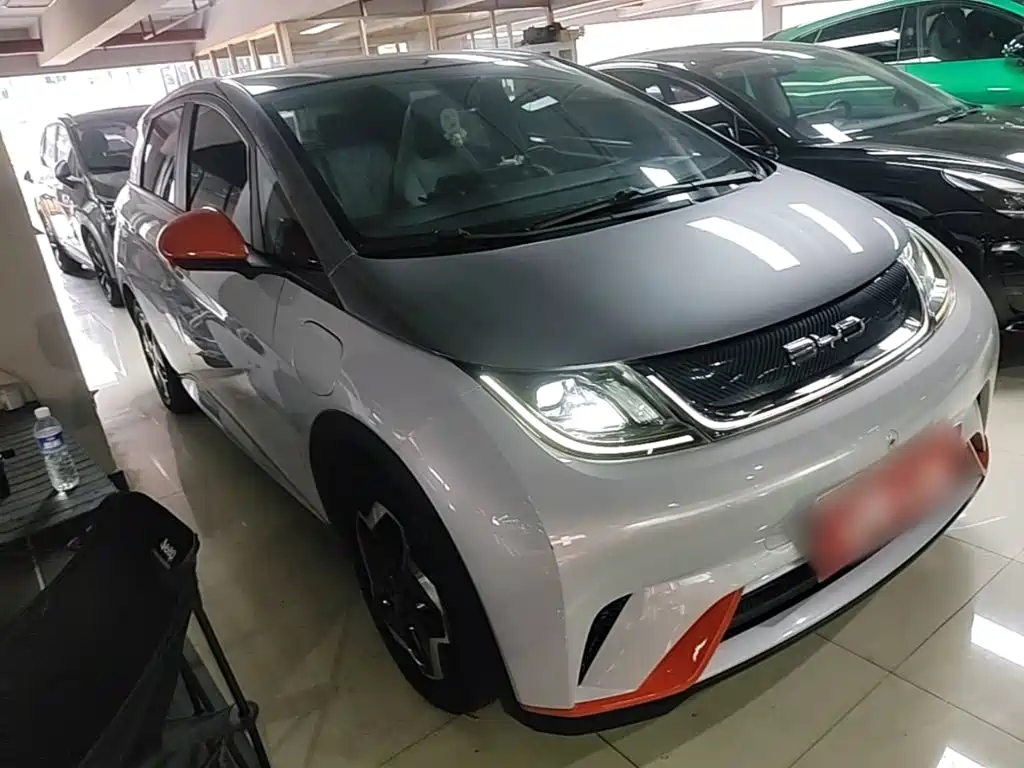 BYD Dolphin 2021 2021 Model 405km Fashion Edition