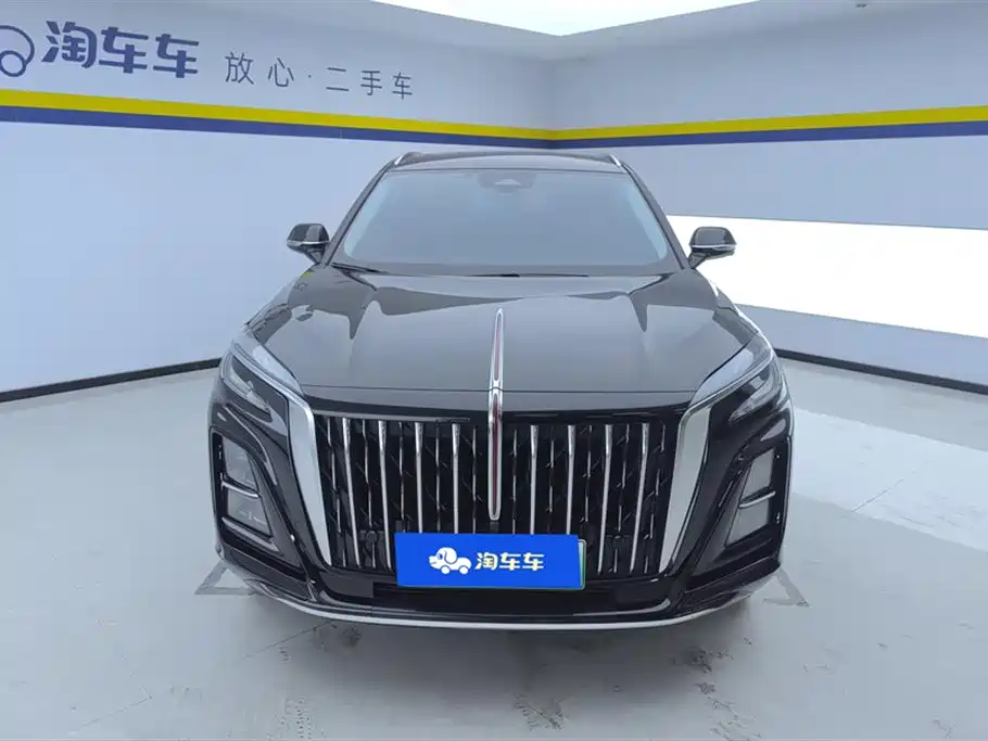 Hongqi HS3 PHEV 2024 PHEV 115km Power Edition фото 2