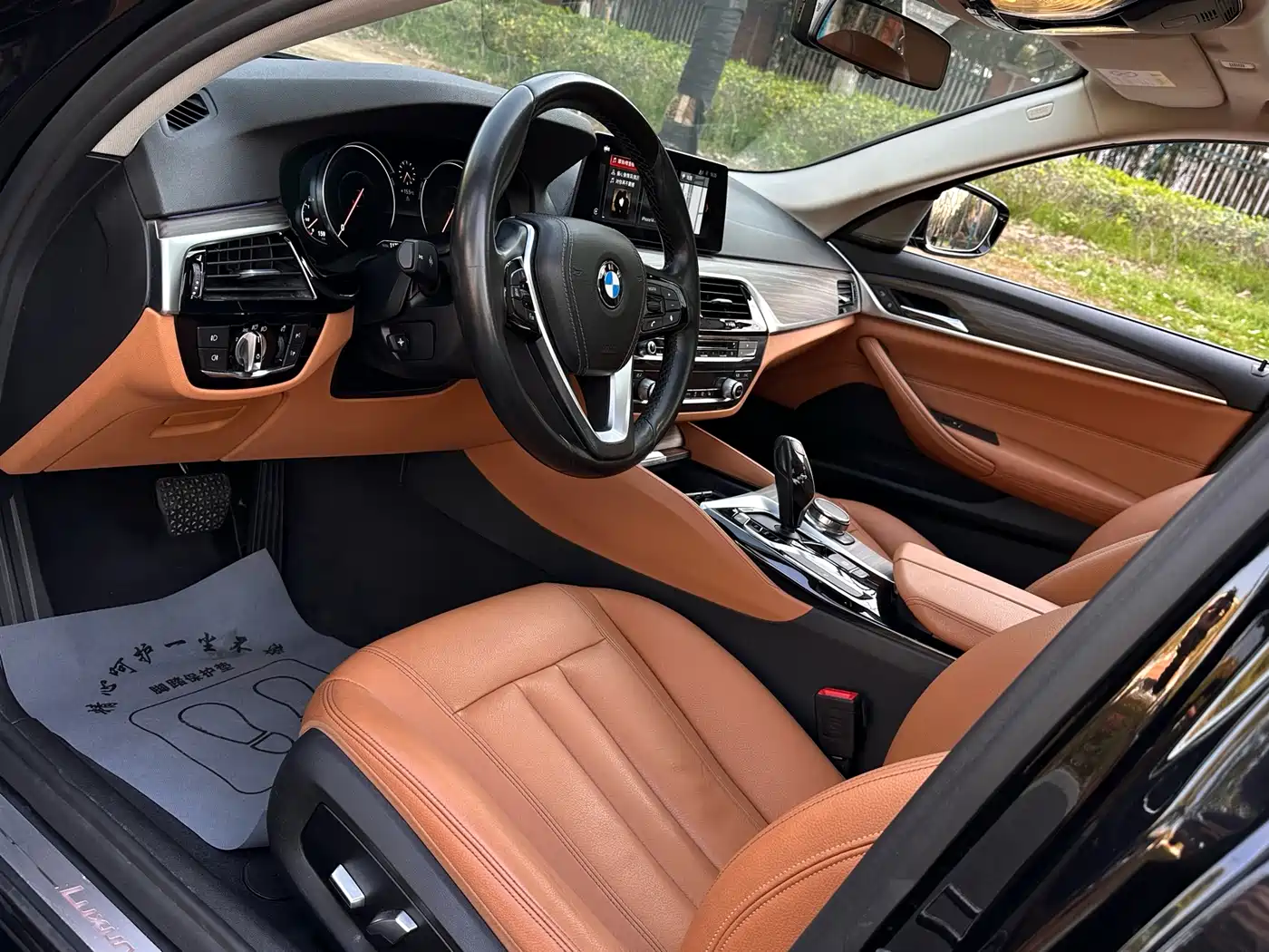 BMW 5 Series 2018 530Li xDrive Luxury Package фото 9