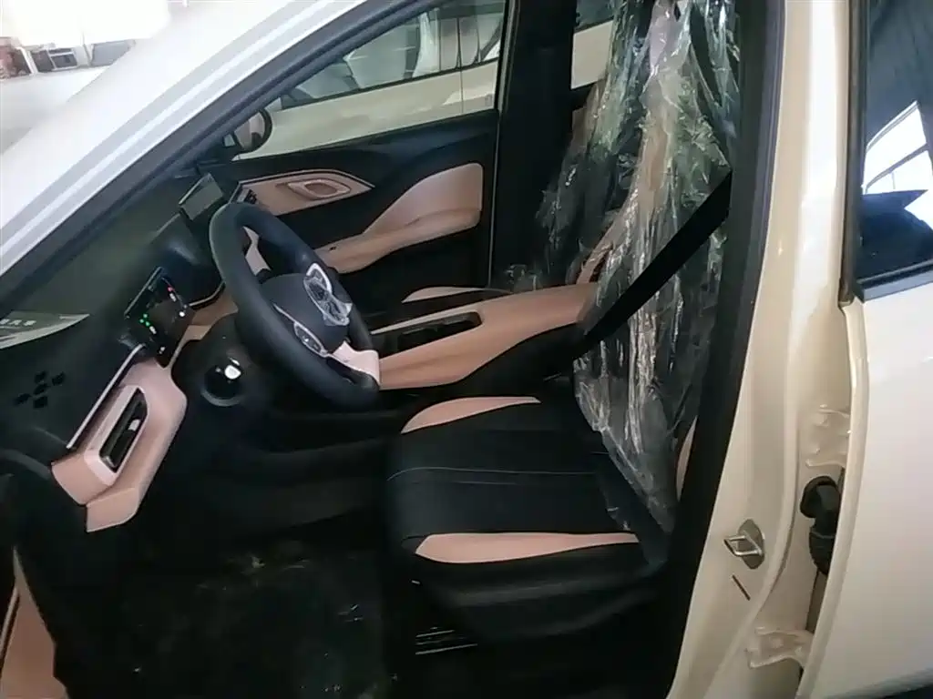 BYD Seagull 2026 2025 Smart Drive Edition 305km Vitality Version
