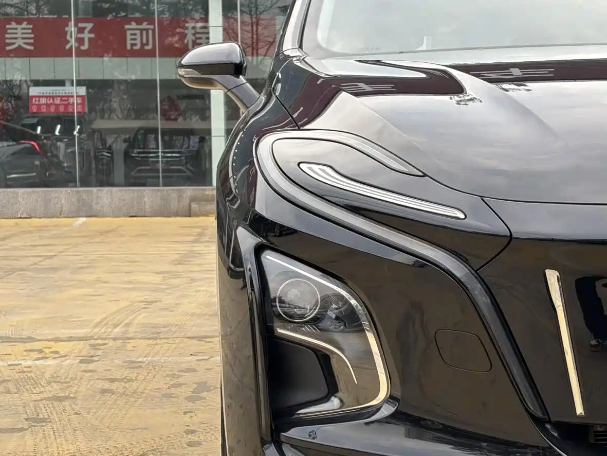 Hongqi HONGQI E QM5