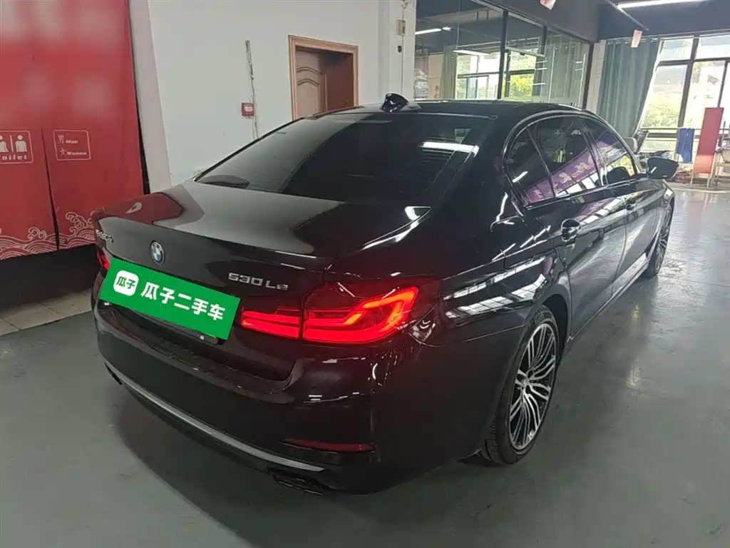 BMW 5 Series New Energy 2020 530Le Range Upgrade Luxury Package фото 7