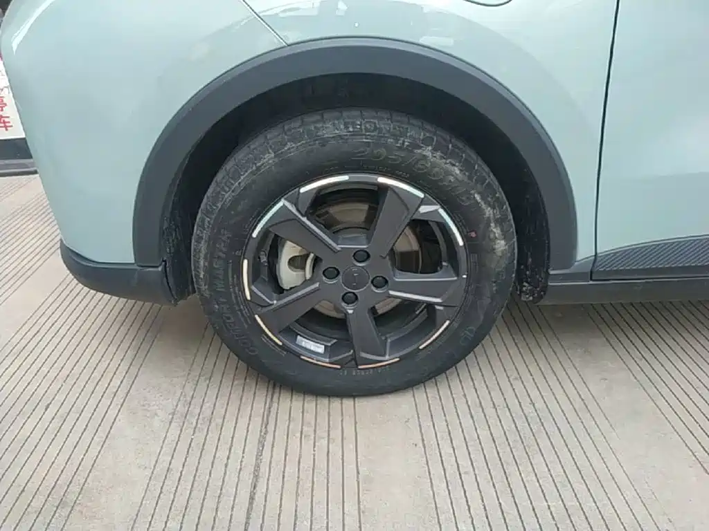 Geely Geometry E Firefly 2024 2024 Model 401km Fluorescent