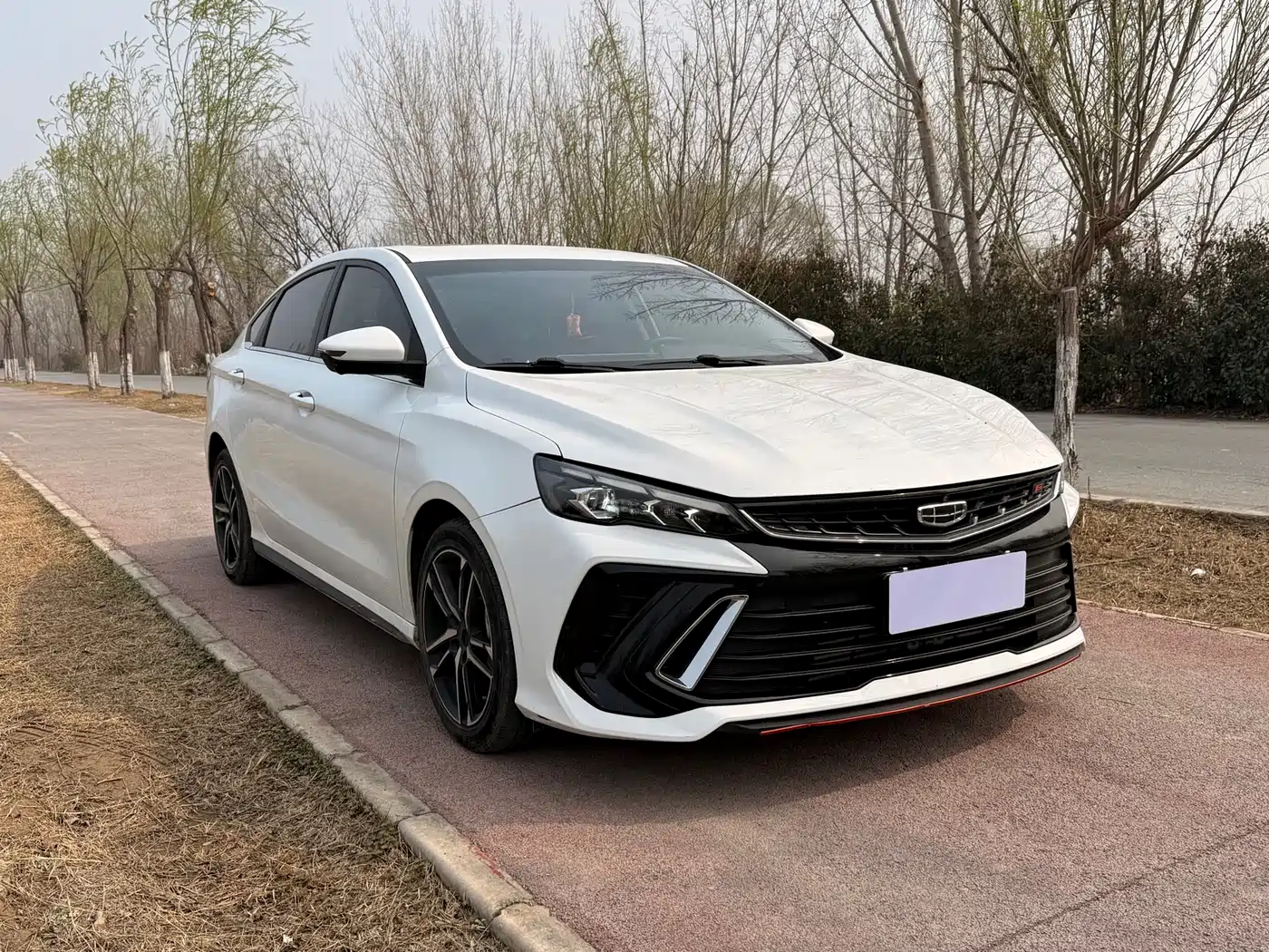 GEELY AUTOMOBILE BINRUI