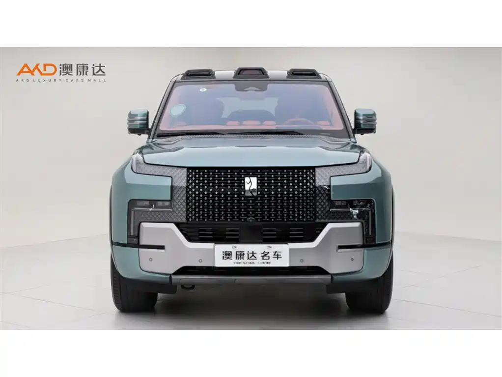 Yangwang U8 2024 2023 Luxury Edition