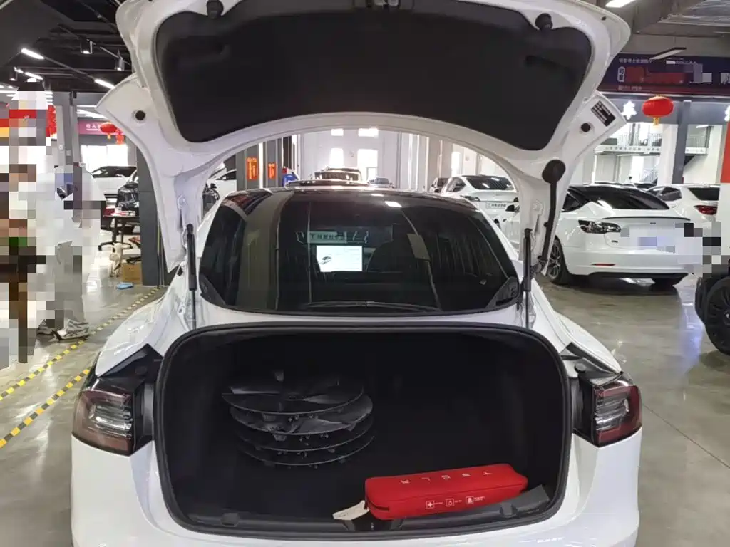 Tesla Model 3 2020 2020 Standard Range Rear-Wheel Drive Upgrade