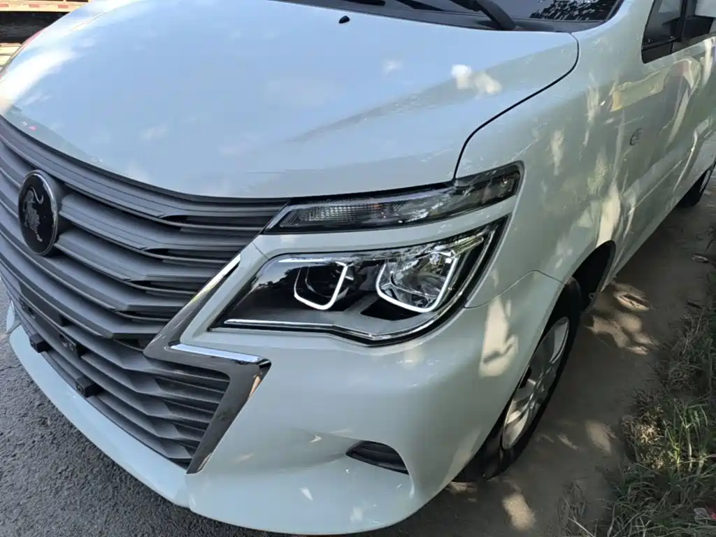 Фото 24 - Dongfeng Fengxing Lingzhi