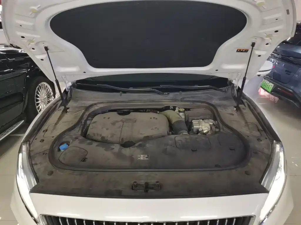 Geely Borui PHEV 2020 2021 1.5T ePro Leading Glory Edition