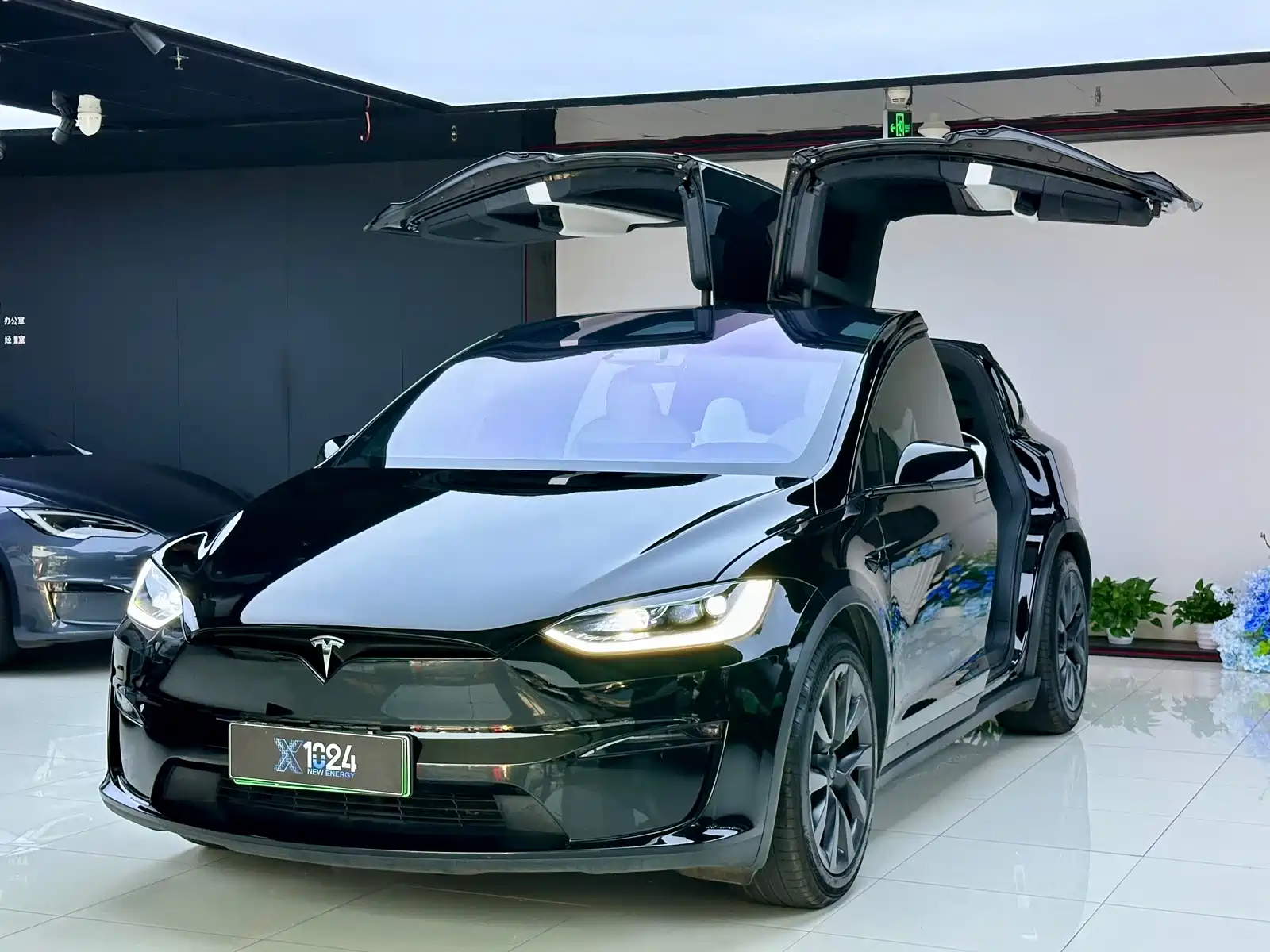 Фото 1 - Tesla Model X