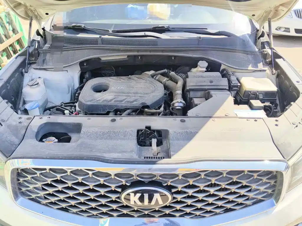 Kia KX7 2017 2017 2.0T Automatic 2WD GLS 7-Seater