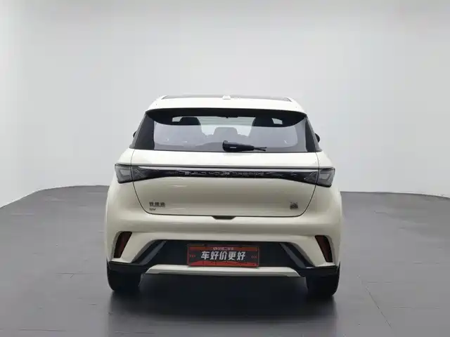 BYD Dolphin 2023 420km Fashion Edition — фото 4