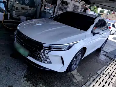 BYD Destroyer 05