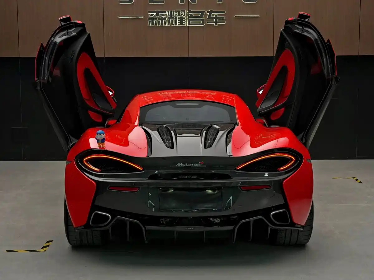 صورة 10 - McLaren 570
