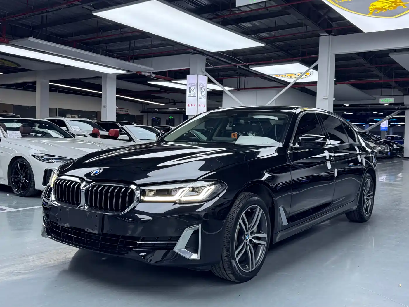 BMW 5 Series 2023 530Li Leading Luxury Package