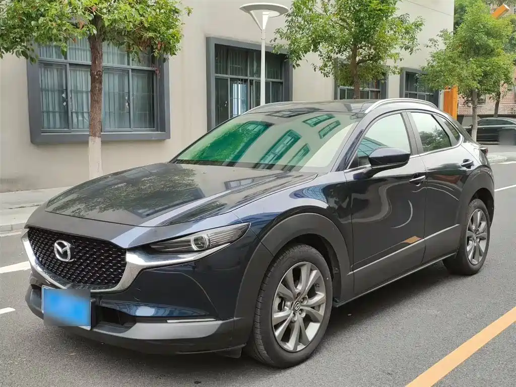 Mazda CX-30 2021 2.0L Auto Premium Joy Type