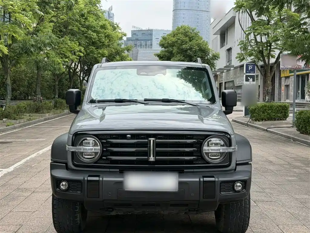 Tank 300 2021 Off-road Edition 2.0T Challenger фото 5