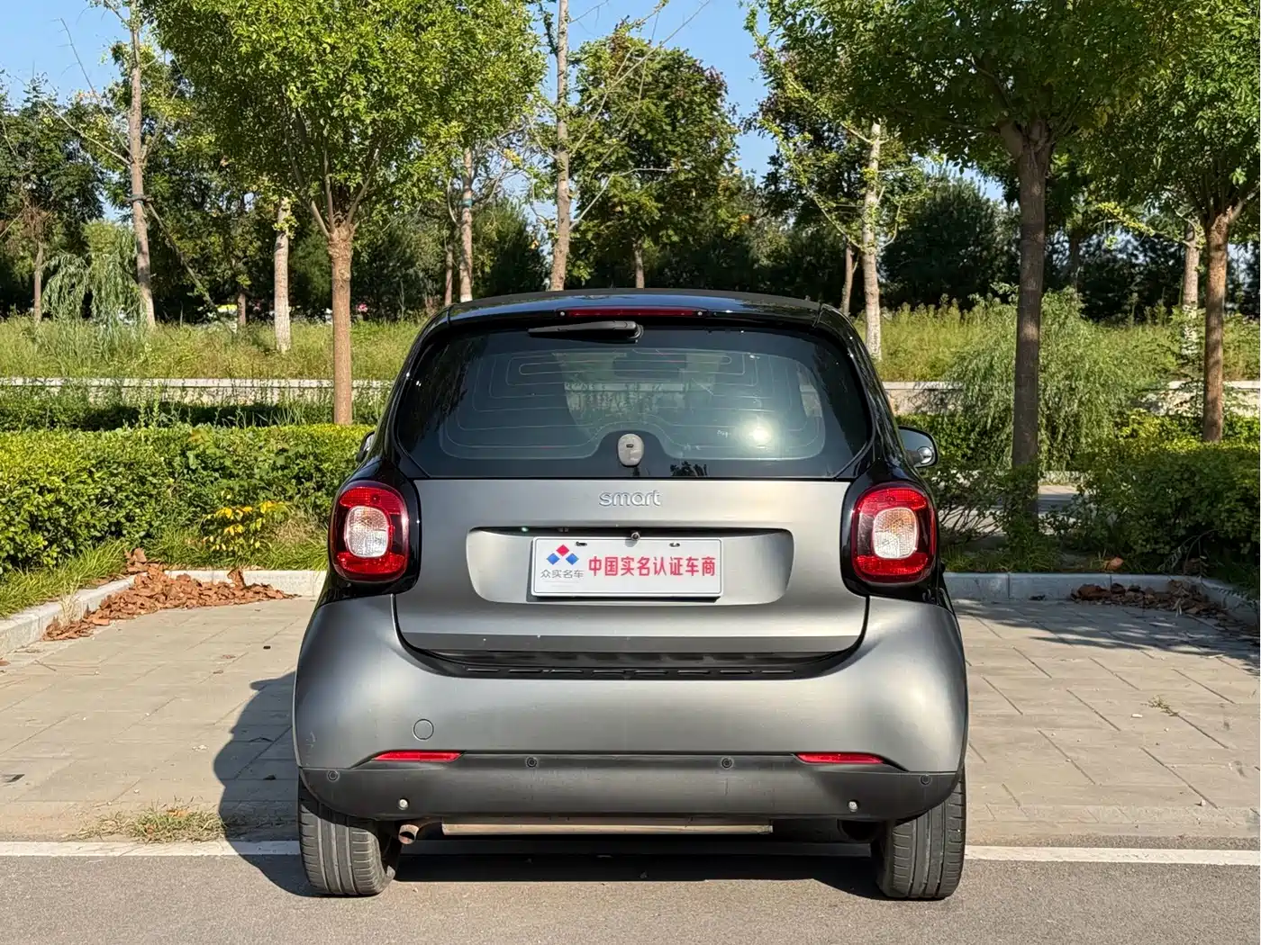 smart fortwo 2018 2018 1.0L 52kW Hardtop Agile Edition China V