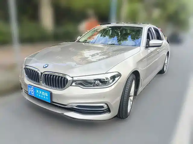 BMW 5 Series 2020 530Li Premium Luxury Package — фото 1
