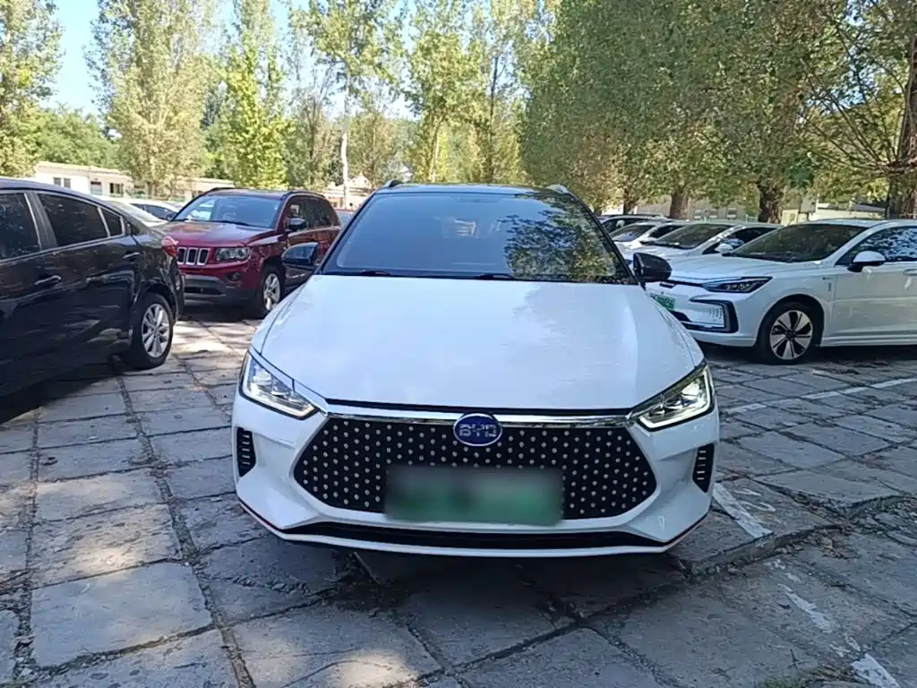BYD e2 2019 2019 Long Range Yao·Luxury Model