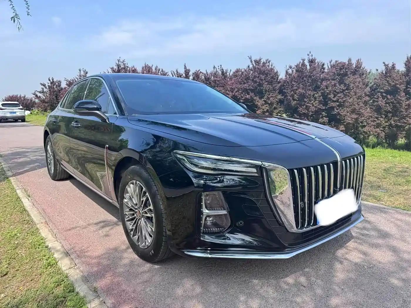 Hongqi H5 2025 1.5T DCT Flag Rhythm 500,000 Units Memorial Edition фото 3