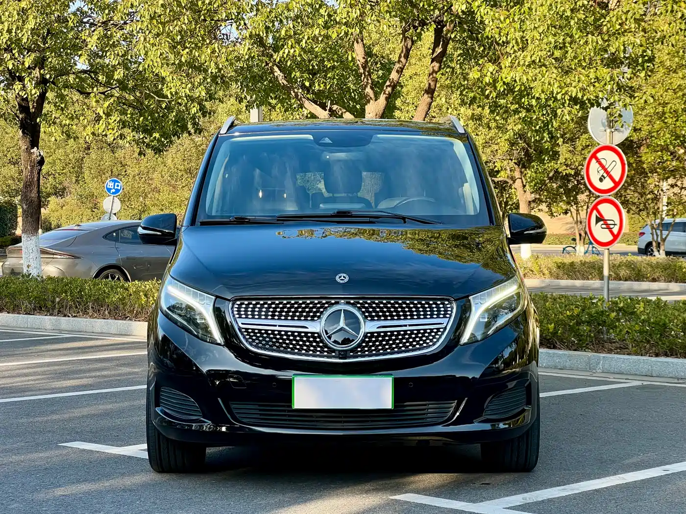 Mercedes-Benz V-Class 2018 V 260 Navigator Edition China VI фото 2
