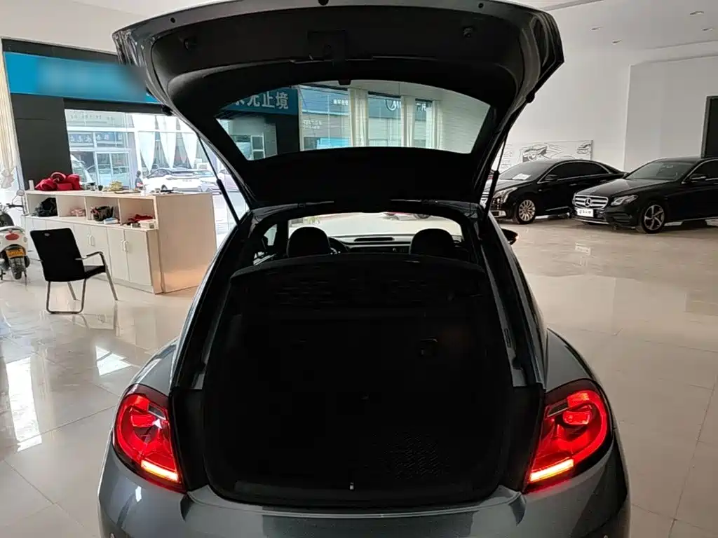 صورة 19 - Volkswagen Beetle