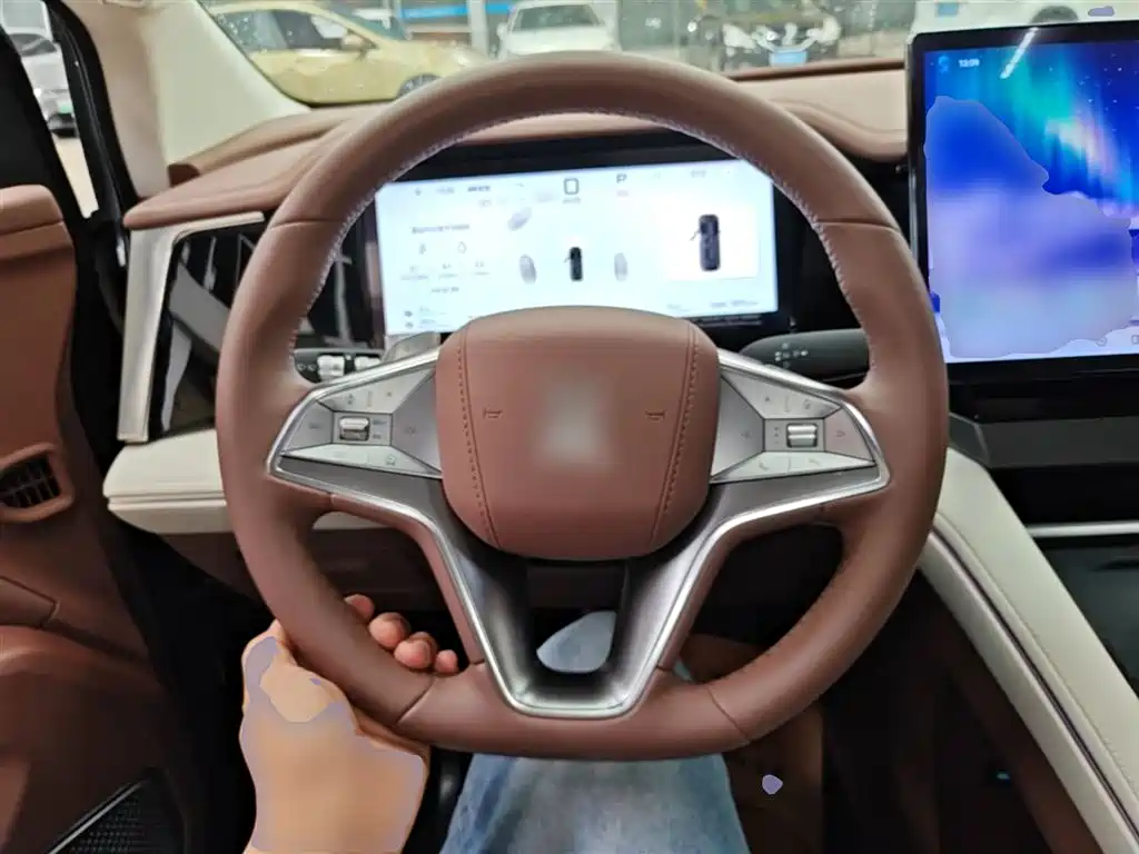 BYD Xia 2025 DM-i 1.5T 180km Surpass Edition фото 11